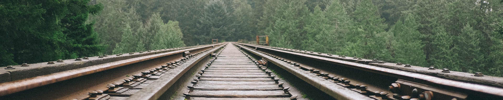 Green forest train tracks